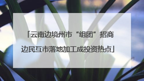 云南边境州市“组团”招商 边民互市落地加工成投资热点