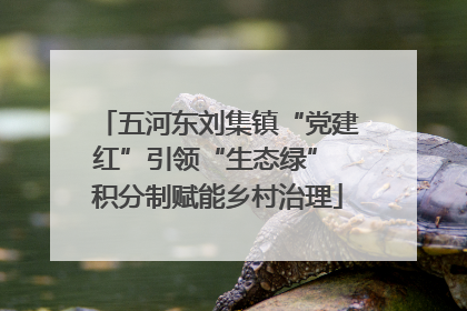五河东刘集镇“党建红”引领“生态绿” 积分制赋能乡村治理