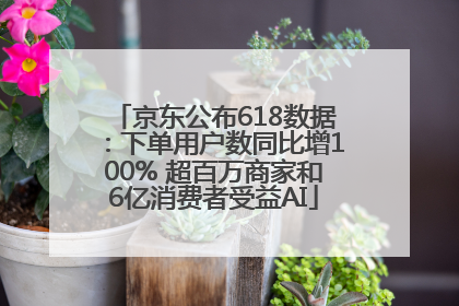 京东公布618数据：下单用户数同比增100% 超百万商家和6亿消费者受益AI