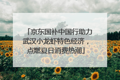 京东国补中国行助力武汉小龙虾特色经济，点燃夏日消费热潮
