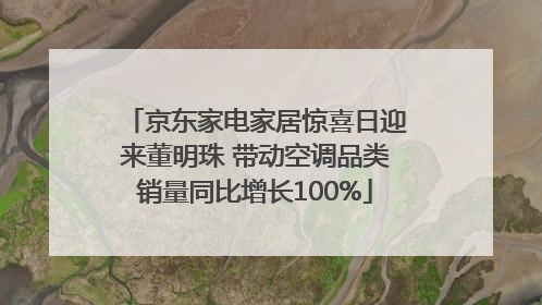 京东家电家居惊喜日迎来董明珠 带动空调品类销量同比增长100%