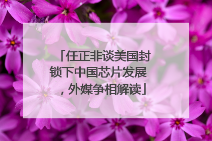 任正非谈美国封锁下中国芯片发展，外媒争相解读