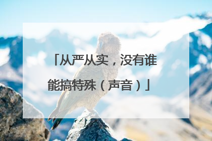 从严从实，没有谁能搞特殊（声音）
