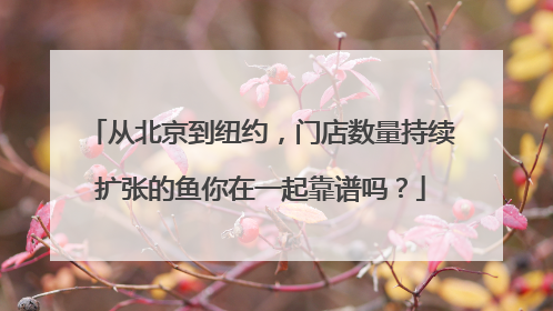 从北京到纽约，门店数量持续扩张的鱼你在一起靠谱吗？