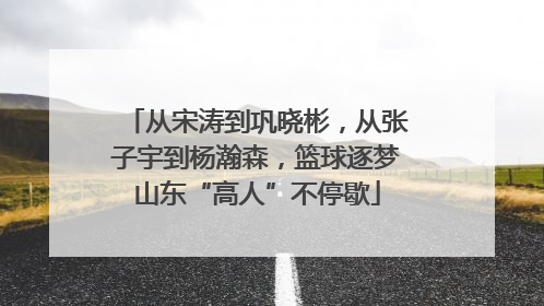 从宋涛到巩晓彬，从张子宇到杨瀚森，篮球逐梦山东“高人”不停歇