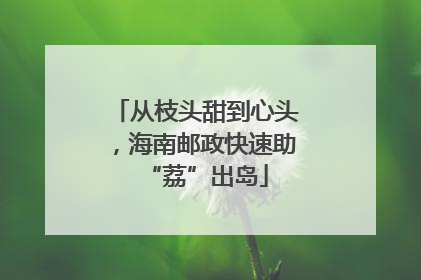 从枝头甜到心头，海南邮政快速助“荔”出岛
