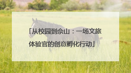 从校园到佘山：一场文旅体验官的创意孵化行动