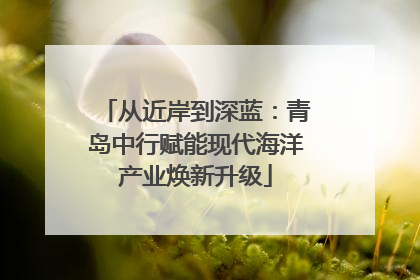 从近岸到深蓝：青岛中行赋能现代海洋产业焕新升级