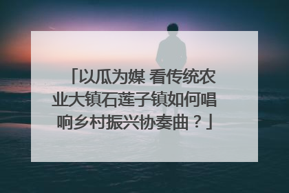 以瓜为媒 看传统农业大镇石莲子镇如何唱响乡村振兴协奏曲？