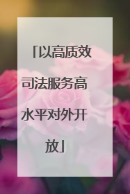 以高质效司法服务高水平对外开放