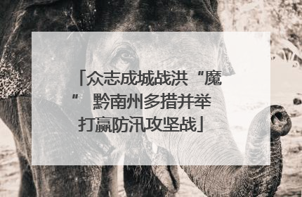 众志成城战洪“魔” 黔南州多措并举打赢防汛攻坚战