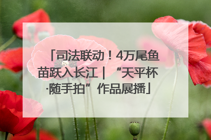 司法联动！4万尾鱼苗跃入长江｜“天平杯·随手拍”作品展播