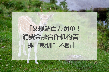 又现超百万罚单！消费金融合作机构管理“教训”不断