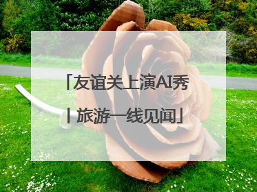友谊关上演AI秀丨旅游一线见闻