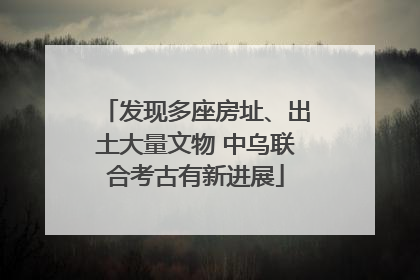 发现多座房址、出土大量文物 中乌联合考古有新进展