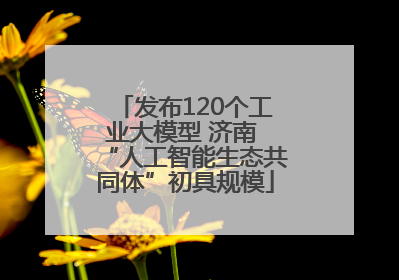 发布120个工业大模型 济南 “人工智能生态共同体”初具规模