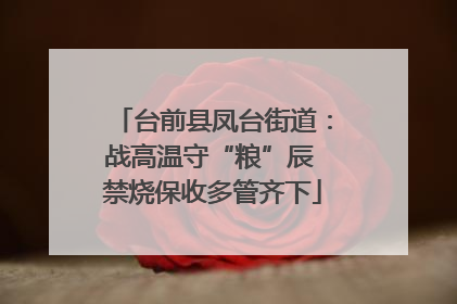 台前县凤台街道：战高温守“粮”辰 禁烧保收多管齐下