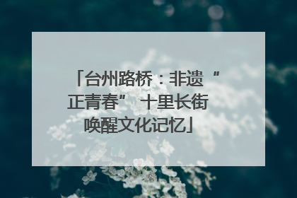 台州路桥：非遗“正青春” 十里长街唤醒文化记忆