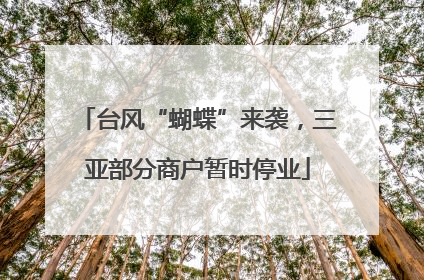 台风“蝴蝶”来袭，三亚部分商户暂时停业