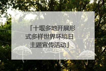 十堰多地开展形式多样世界环境日主题宣传活动