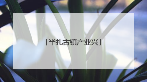 半扎古镇产业兴