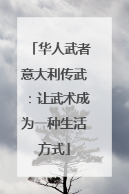 华人武者意大利传武：让武术成为一种生活方式
