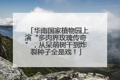 华南国家植物园上演“多肉界玫瑰传奇”，从呆萌树干到炸裂种子全是戏！
