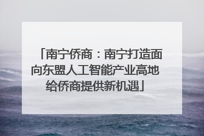 南宁侨商：南宁打造面向东盟人工智能产业高地给侨商提供新机遇