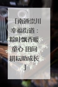 南通崇川幸福街道：粽叶飘香暖童心 田间耕耘助成长