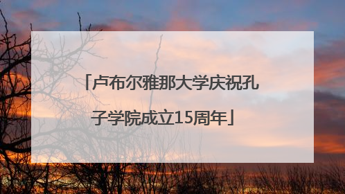 卢布尔雅那大学庆祝孔子学院成立15周年
