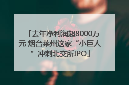 去年净利润超8000万元 烟台莱州这家“小巨人”冲刺北交所IPO