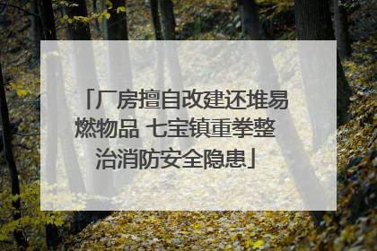厂房擅自改建还堆易燃物品 七宝镇重拳整治消防安全隐患