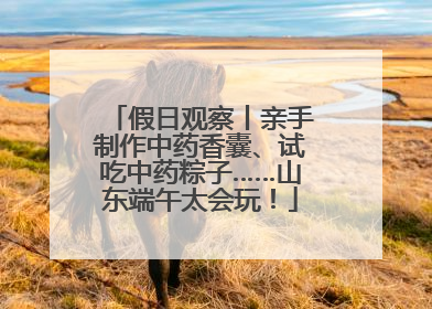 假日观察丨亲手制作中药香囊、试吃中药粽子……山东端午太会玩！