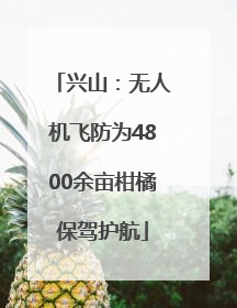 兴山：无人机飞防为4800余亩柑橘保驾护航