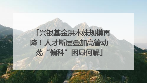 兴银基金洪木妹规模再降！人才断层叠加高管动荡“偏科”困局何解