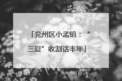 兖州区小孟镇：“三夏”收割话丰年
