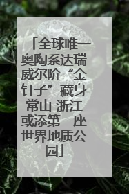 全球唯一奥陶系达瑞威尔阶“金钉子”藏身常山 浙江或添第二座世界地质公园