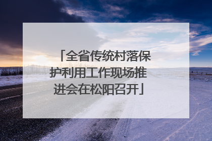 全省传统村落保护利用工作现场推进会在松阳召开