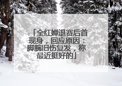 全红婵退赛后首现身，回应原因：脚腕旧伤复发，称最近挺好的