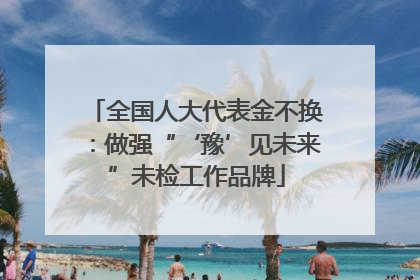 全国人大代表金不换：做强“‘豫’见未来”未检工作品牌