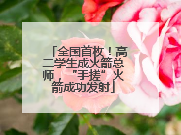 全国首枚！高二学生成火箭总师，“手搓”火箭成功发射
