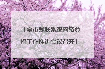 全市残联系统网络募捐工作推进会议召开
