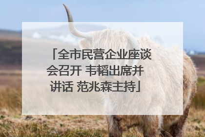 全市民营企业座谈会召开 韦韬出席并讲话 范兆森主持