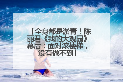 全身都是淤青！陈丽君《我的大观园》幕后：面对滚楼梯，没有做不到