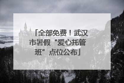 全部免费！武汉市暑假“爱心托管班”点位公布