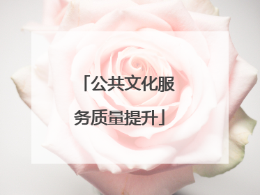 公共文化服务质量提升