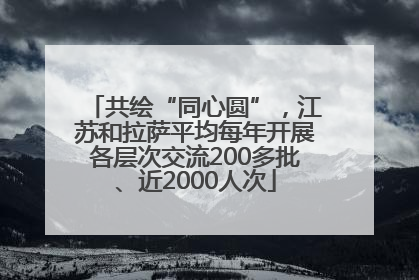 共绘“同心圆”，江苏和拉萨平均每年开展各层次交流200多批、近2000人次