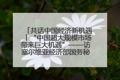共话中国经济新机遇丨“中国超大规模市场带来巨大机遇”——访塞尔维亚经济部国务秘书尼科利奇