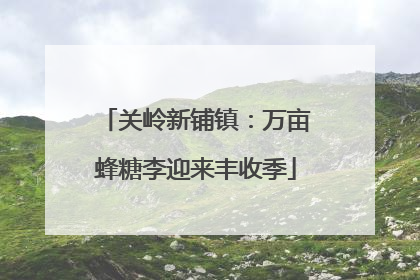关岭新铺镇：万亩蜂糖李迎来丰收季