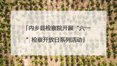 内乡县检察院开展“六一”检察开放日系列活动